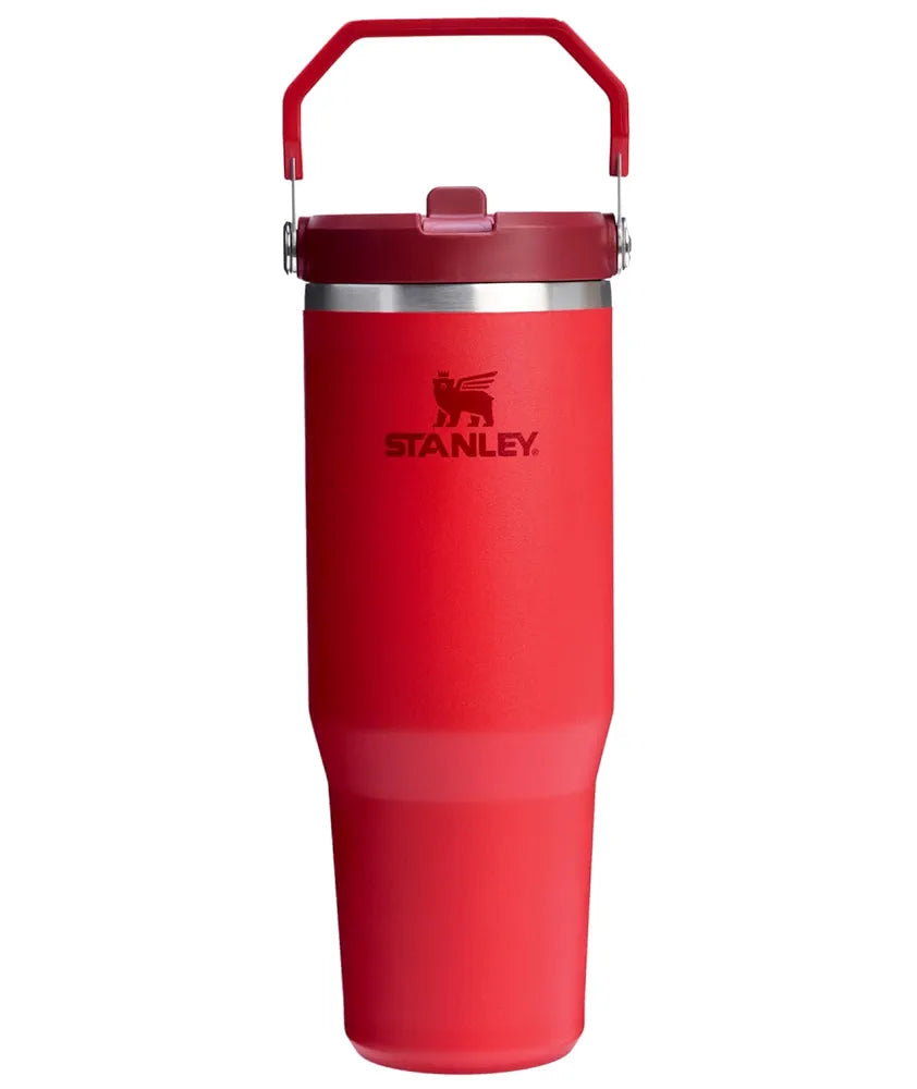 Stanley IceFlow Insulated Stainless Steel Tumbler